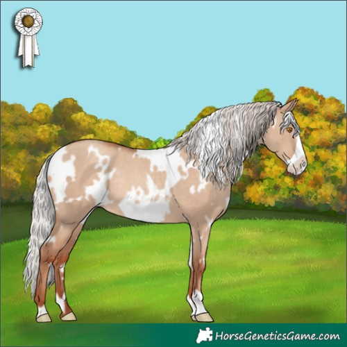 Horse Color:White Spotted Silver Classic Champagne Dun Frame Rabicano