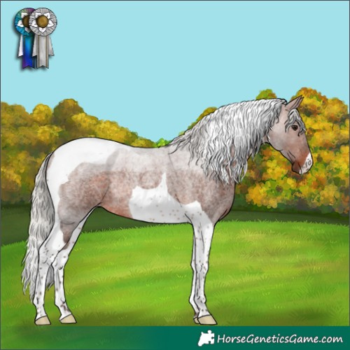 Horse Color:Silver Brown Roan Tobiano Rabicano
