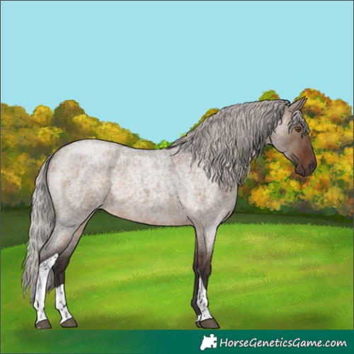 Horse Color:Silver Brown Roan Dun Tobiano Rabicano