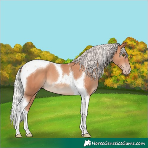 Horse Color:Silver Sable Champagne Tobiano 