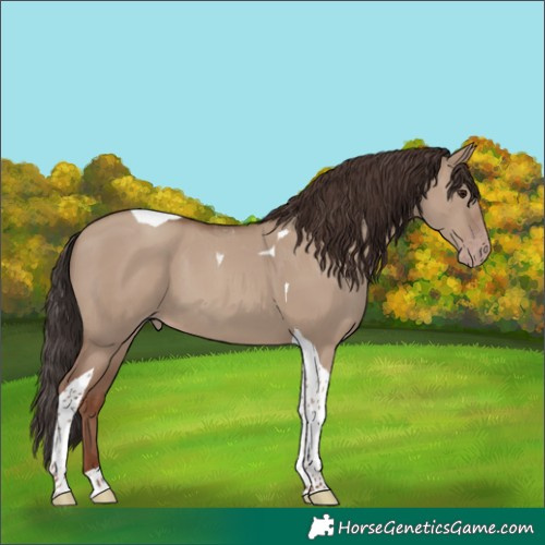 Horse Color:Classic Champagne Dun Tobiano