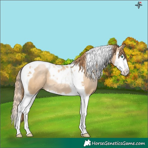 Horse Color:Smoky Black Pearl Splash Tobiano