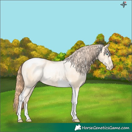 Horse Color:Amber Cream Champagne Pearl Tobiano