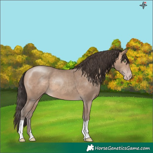 Horse Color:Sable Champagne