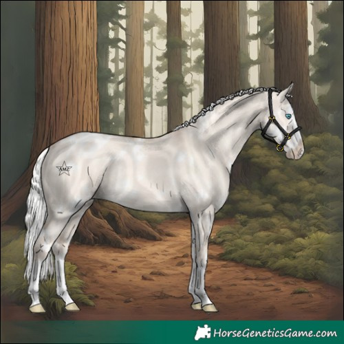 Horse Color:White Spotted Silver Perlino Dun Splash Blanket Rabicano 