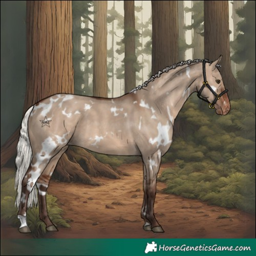 Horse Color:White Spotted Silver Brown Dun Varnish 