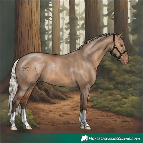 Horse Color:Silver Brown Dun Varnish 