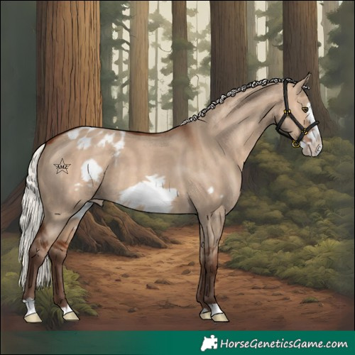 Horse Color:Silver Brown Dun Frame Varnish 