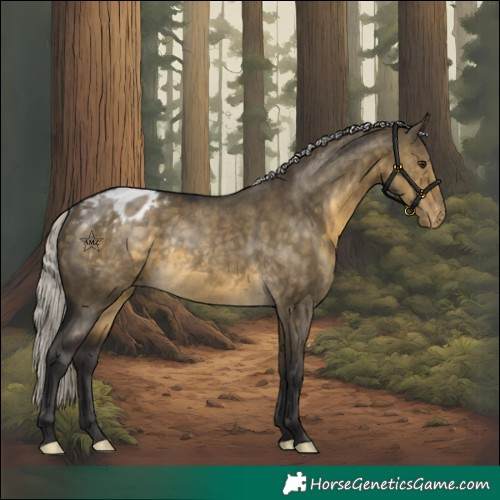 Horse Color:Silver Buckskin Dun Varnish Rabicano 