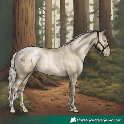 Horse Color:Silver Buckskin Pearl Dun Varnish 