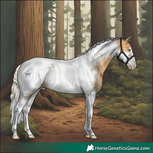 Horse Color:Silver Buckskin Dun Tobiano Frame Varnish Rabicano 