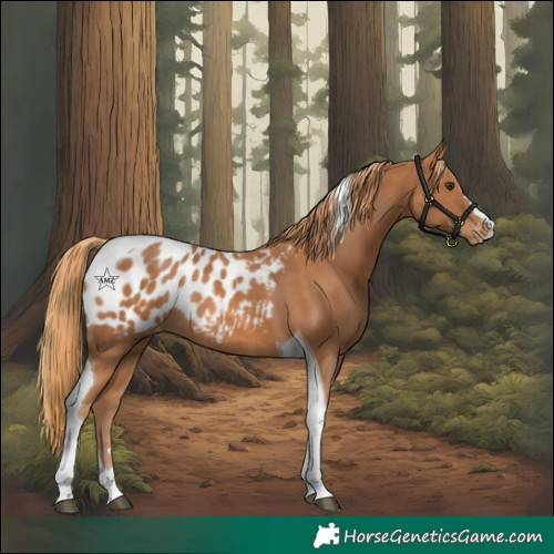 Horse Color:Chestnut Tobiano Blanket Rabicano 