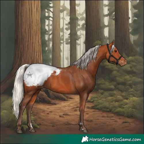 Horse Color:Silver Bay Snowcap