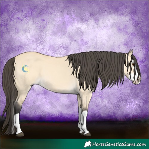Horse Color:Buckskin Dun Splash