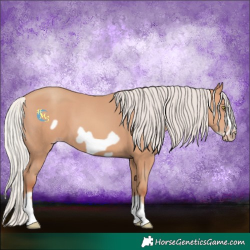 Horse Color:Silver Amber Champagne Frame