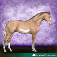 Horse Color:Silver Amber Champagne Frame