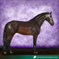 Horse Color:Gray Bay
