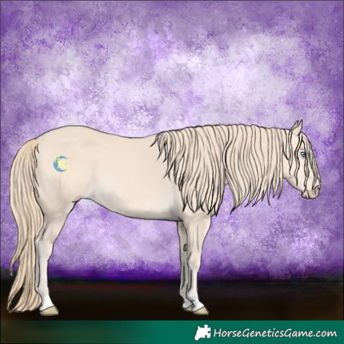 Horse Color:Perlino