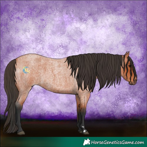 Horse Color:Bay Roan Rabicano