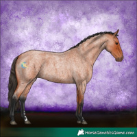 Horse Color:Bay Roan Rabicano 