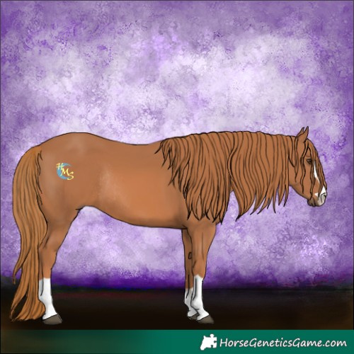 Horse Color:Chestnut Rabicano 