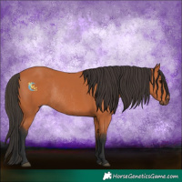 Horse Color:Bay Rabicano