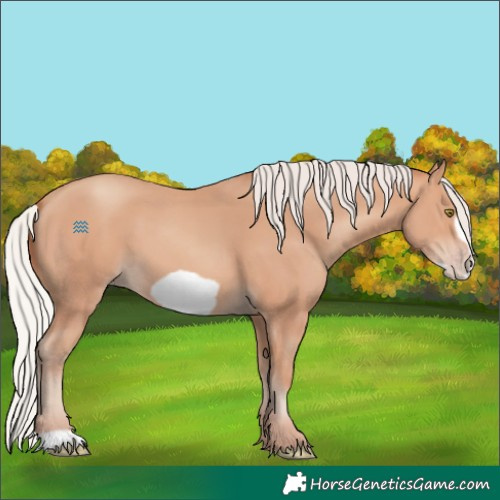 Horse Color:Silver Amber Champagne Frame 