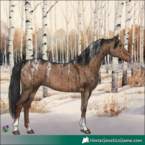 Horse Color:Powder White Liver Red Dun Brindle