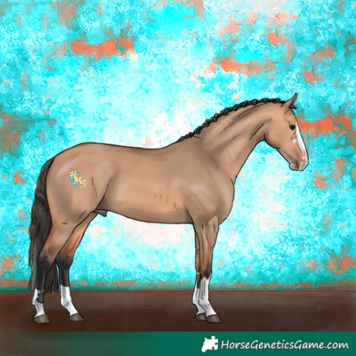 Horse Color:Bay Dun Splash 