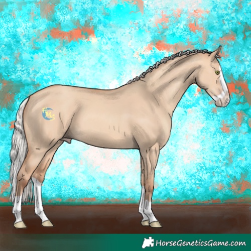 Horse Color:Silver Amber Champagne Dun Splash
