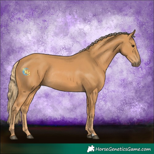 Horse Color:Chestnut Rabicano 