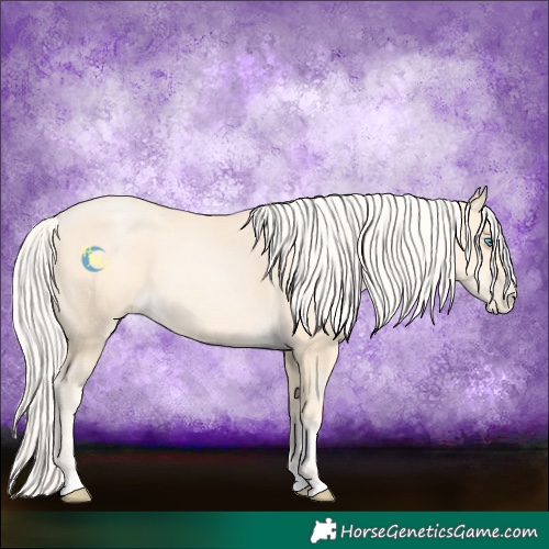 Horse Color:Palomino Pearl