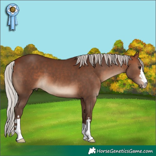 Horse Color:Silver Bay