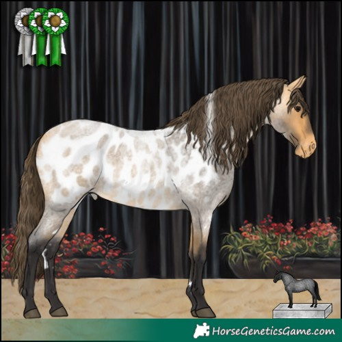 Horse Color:White Spotted Buckskin Roan Blanket