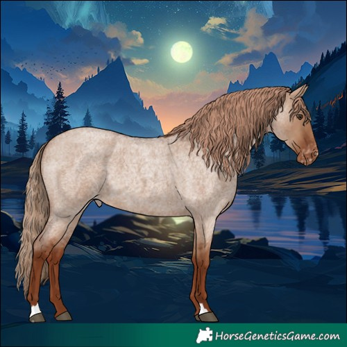 Horse Color:Red Dun Roan Varnish 