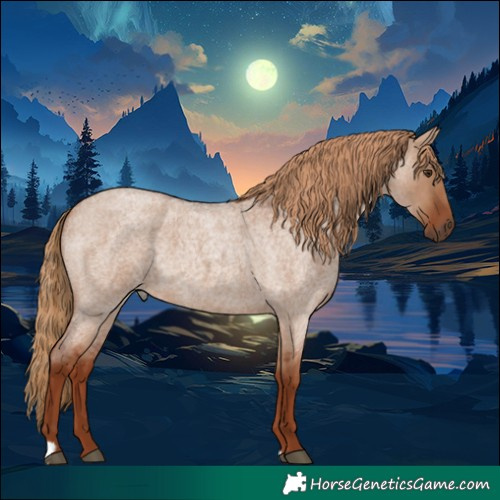 Horse Color:Red Dun Roan