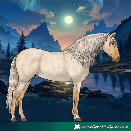 Horse Color:Palomino Roan Dun 