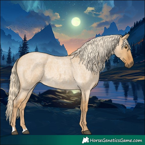 Horse Color:Palomino Roan Dun 
