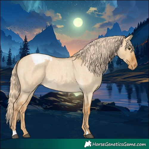 Horse Color:Palomino Roan Dun Varnish