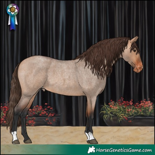 Horse Color:Bay Roan Dun Varnish