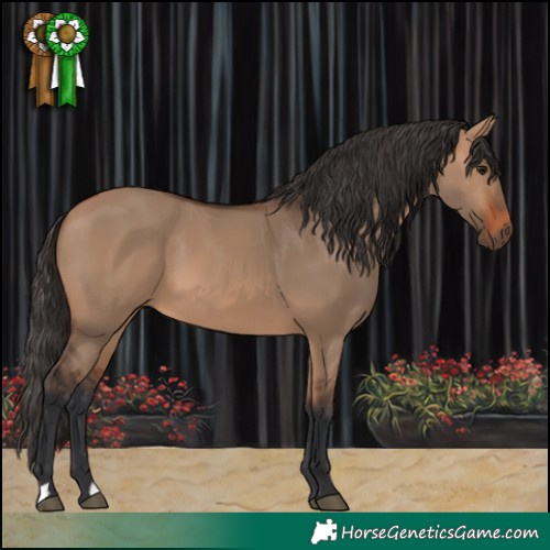 Horse Color:Bay Dun