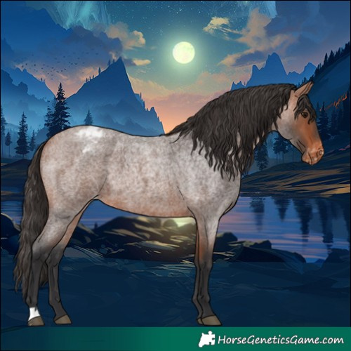 Horse Color:Bay Roan Varnish