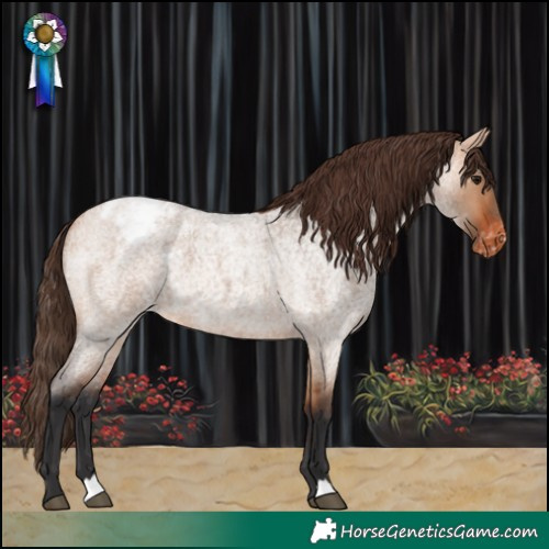 Horse Color:Bay Roan Dun Varnish