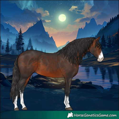 Horse Color:Brown Sabino