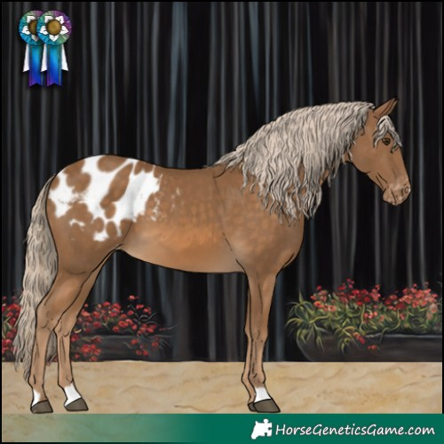 Horse Color:Chocolate Palomino Blanket 