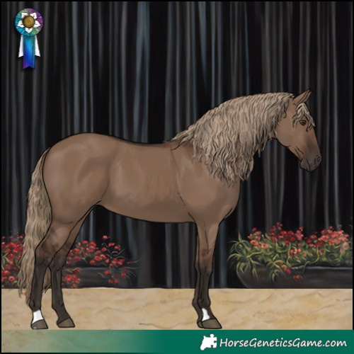 Horse Color:Liver Red Dun 