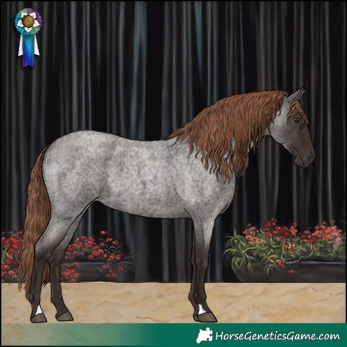 Horse Color:Liver Red Roan 
