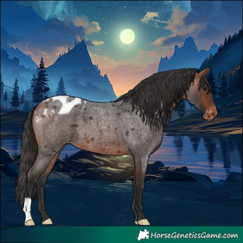 Horse Color:Bay Roan Varnish 