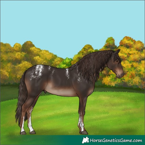 Horse Color:Powder White Liver Chestnut