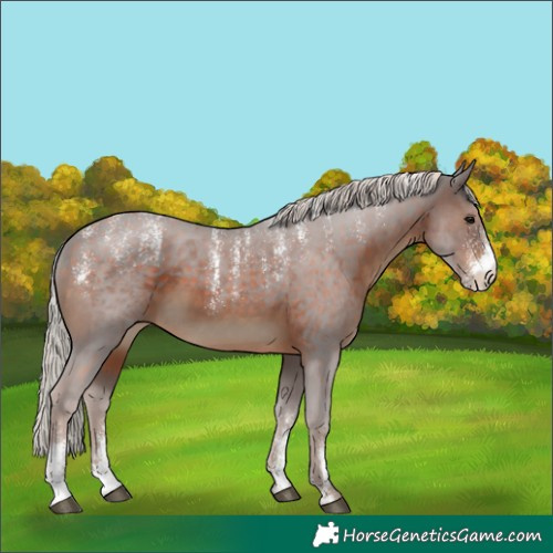Horse Color:Powder White Silver Brown